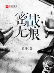 《密战无痕》作者:长风