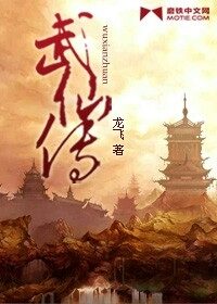 《武仙传》作者:龙飞