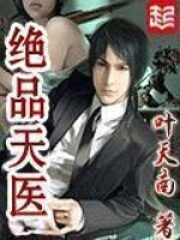 《绝品天医》作者:叶天南