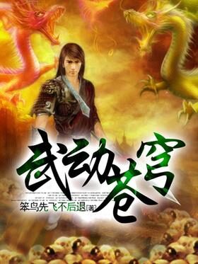 《武动苍穹》作者：笨鸟先飞不后退