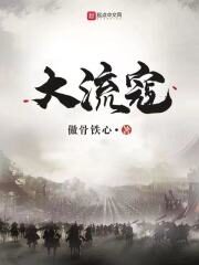 《大流寇》作者:傲骨铁心
