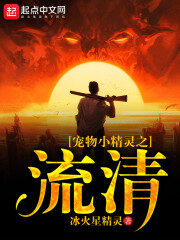 《宠物小精灵之流清》作者:冰火星精灵