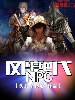 《风华绝代NPC》作者:头上有个坑