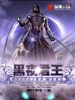 《黑夜君王》作者:甬江小生