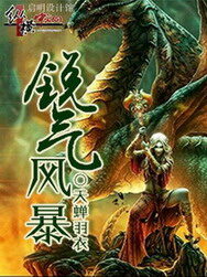 《锐气风暴》作者:天蝉羽衣