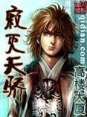 《寂灭天骄》作者:高楼大厦