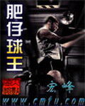 《肥仔球王》作者:宏峰