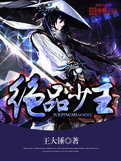 《绝品少主》作者:王大锤