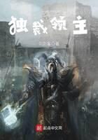 《独裁领主》作者:剑剑客