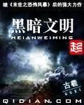 《黑暗文明》作者:古羲