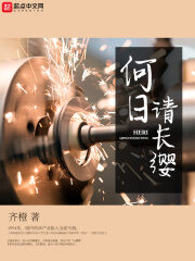 《何日请长缨》作者:齐橙