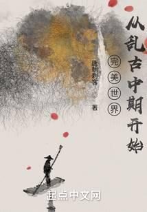 《完美世界:从乱古中期开始》作者:唐朝刺客