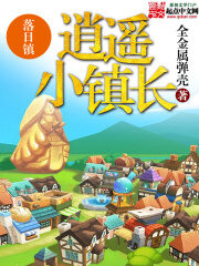 《逍遥小镇长》作者:全金属弹壳