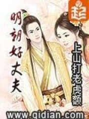 《明朝好丈夫》作者:上山打老虎额