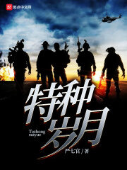 《特种岁月》作者:严七官