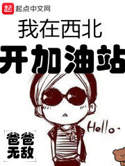 《我在西北开加油站》作者:爸爸无敌