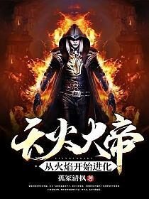 《天火大帝：从火焰开始进化》作者：孤冢清枫