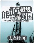 《超级能源强国》作者:志鸟村
