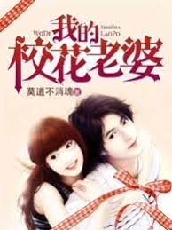 《我的校花老婆》作者:莫道不消魂