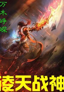 《凌天战神》作者:万木峥嵘