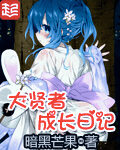 《大贤者成长日记》作者:暗黑芒果