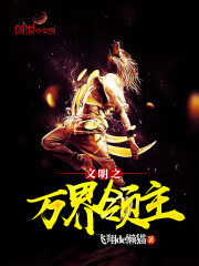 《文明之万界领主》作者:飞翔de懒猫