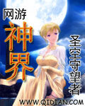《网游神界》作者:圣空守望者