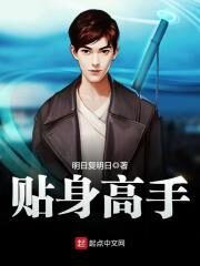 《贴身高手》作者:明日复明日