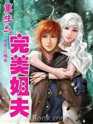 《重生之完美姐夫》作者：红嘴雀