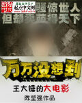 《王大锤的大电影》作者:陈坚强