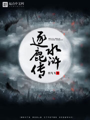 《水浒逐鹿传》作者:任鸟飞