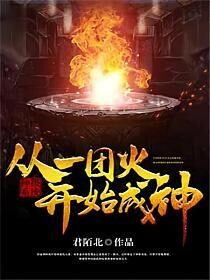 《神级系统:从一团火开始成神》作者:君陌北