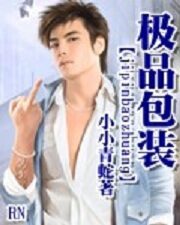 《极品包装》作者:小小青蛇