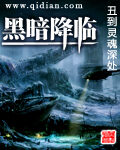 《黑暗降临》作者:我丑到灵魂深处