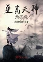 《至高天神在凡间》作者:种田的农夫