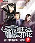 《极品护花邪王》作者:曾经拥有的方向感