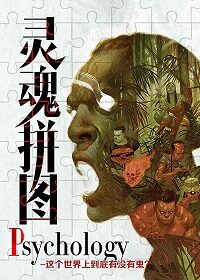 《Psychology 灵魂拼图》作者:伯百川