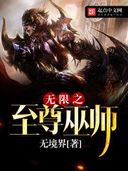 《无限之至尊巫师》作者:无境界