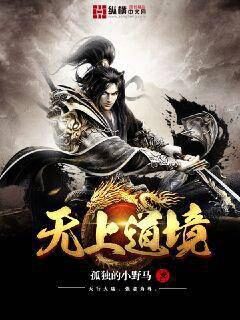 《无上道境》作者:孤独的小野马