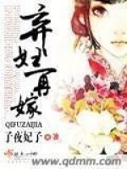 《弃妇再嫁》作者：子夜妃子
