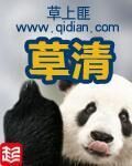 《草清》作者:草上匪