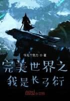 《完美世界之我是长弓衍》作者:今儿个努力