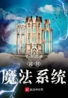 《调频魔法系统》作者:第一杯酒