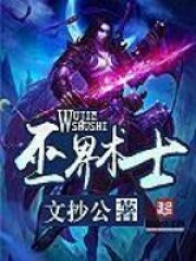 《巫界术士》作者:文抄公