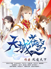 《天域苍穹》作者:风凌天下