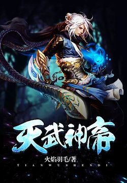 《天武神帝》作者:火焰羽毛