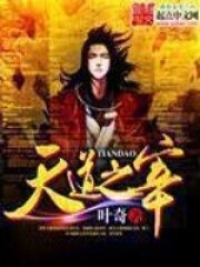《天道之宰》作者:叶奇