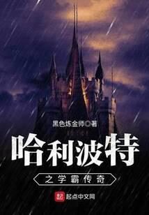 《哈利波特之学霸传奇》作者:黑色炼金师