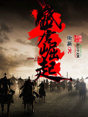 《盛唐崛起》作者:庚新
