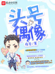 《头号偶像》作者:夜苍